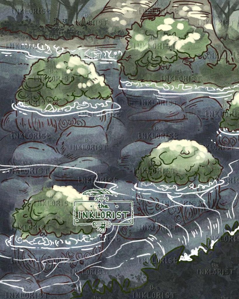 Rocks with moss